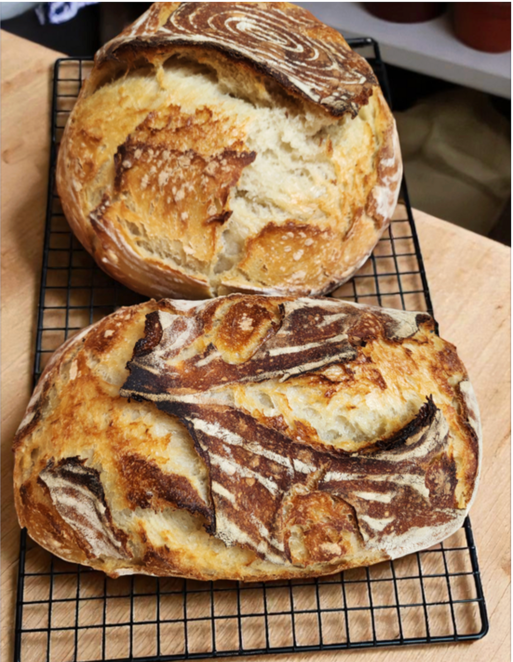 Sourdough Bread
